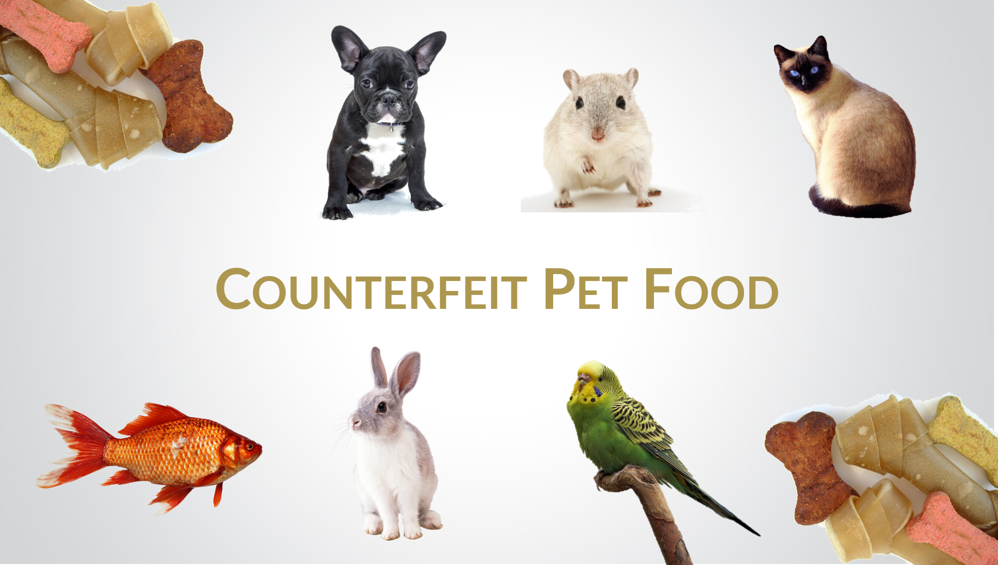 counterfeit pet food
