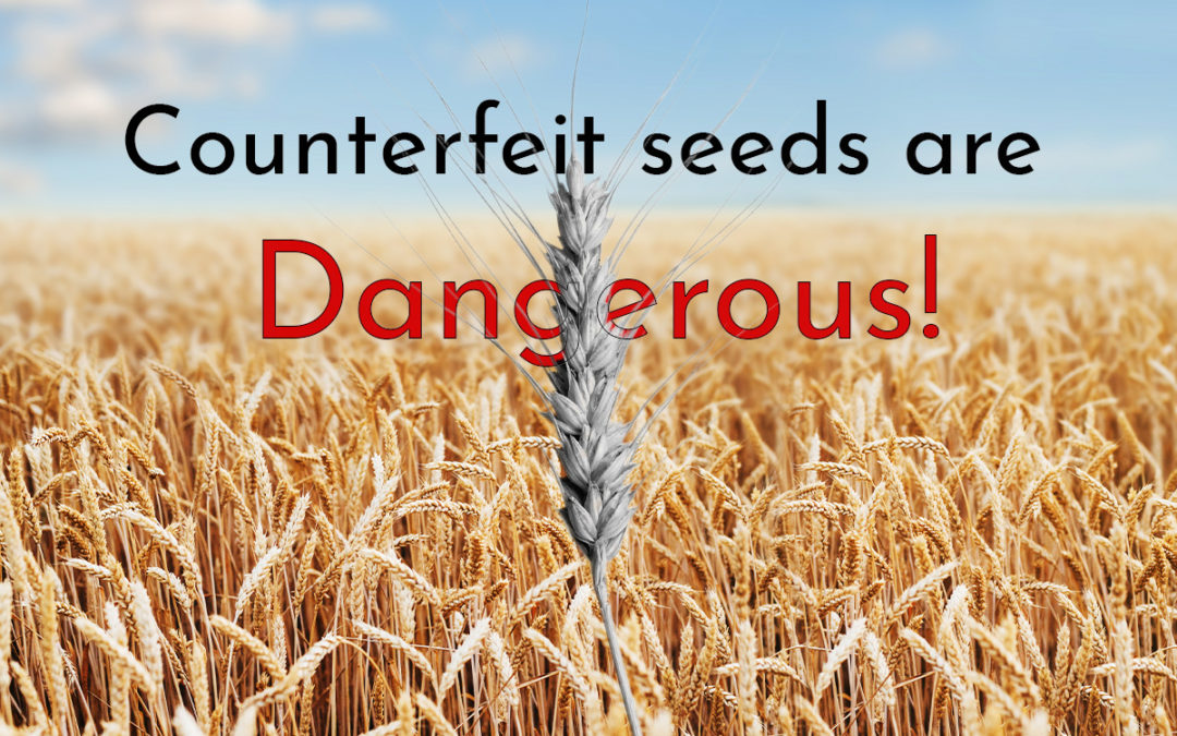 Counterfeit Seeds
