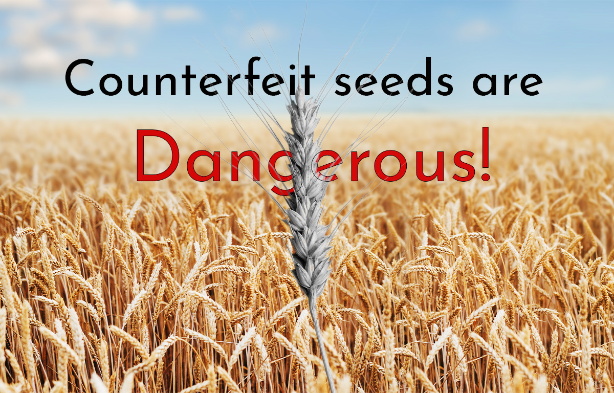 Counterfeit Seeds