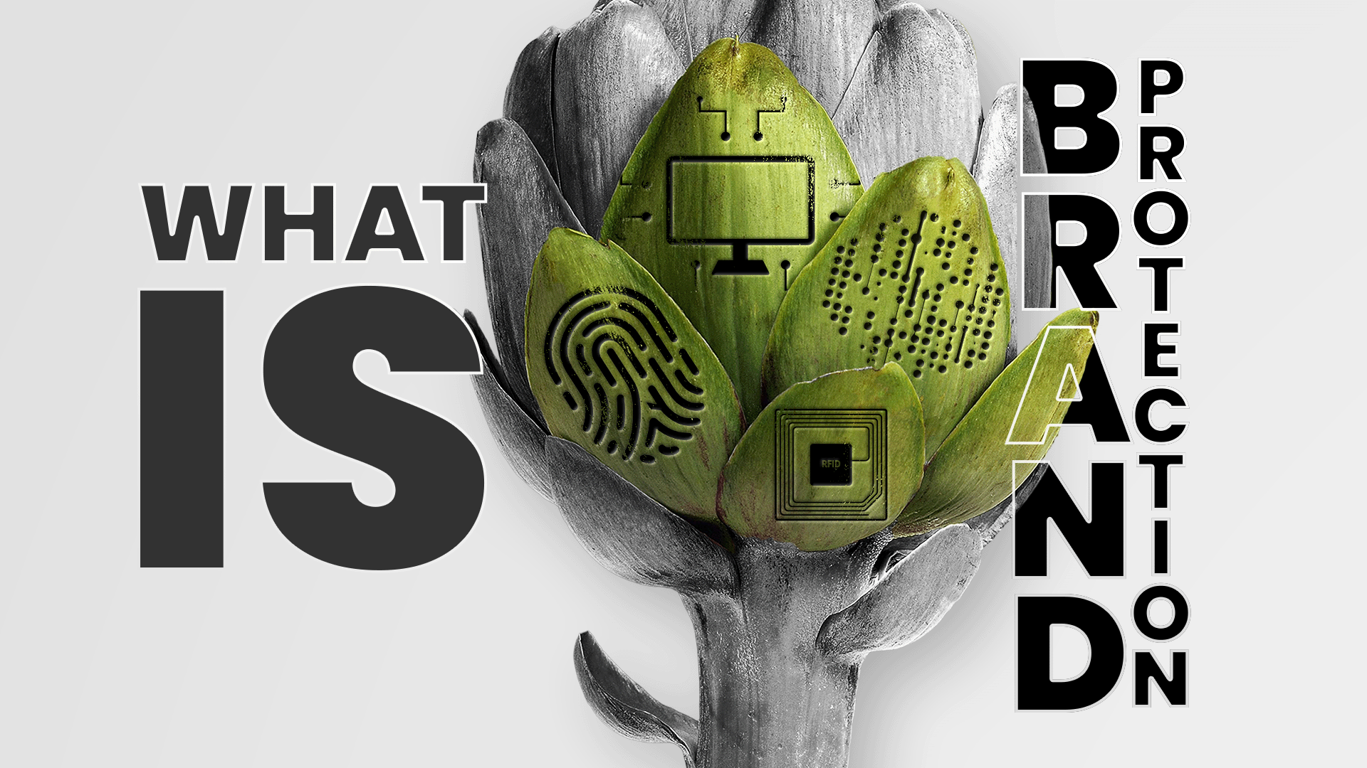 what is brand protection